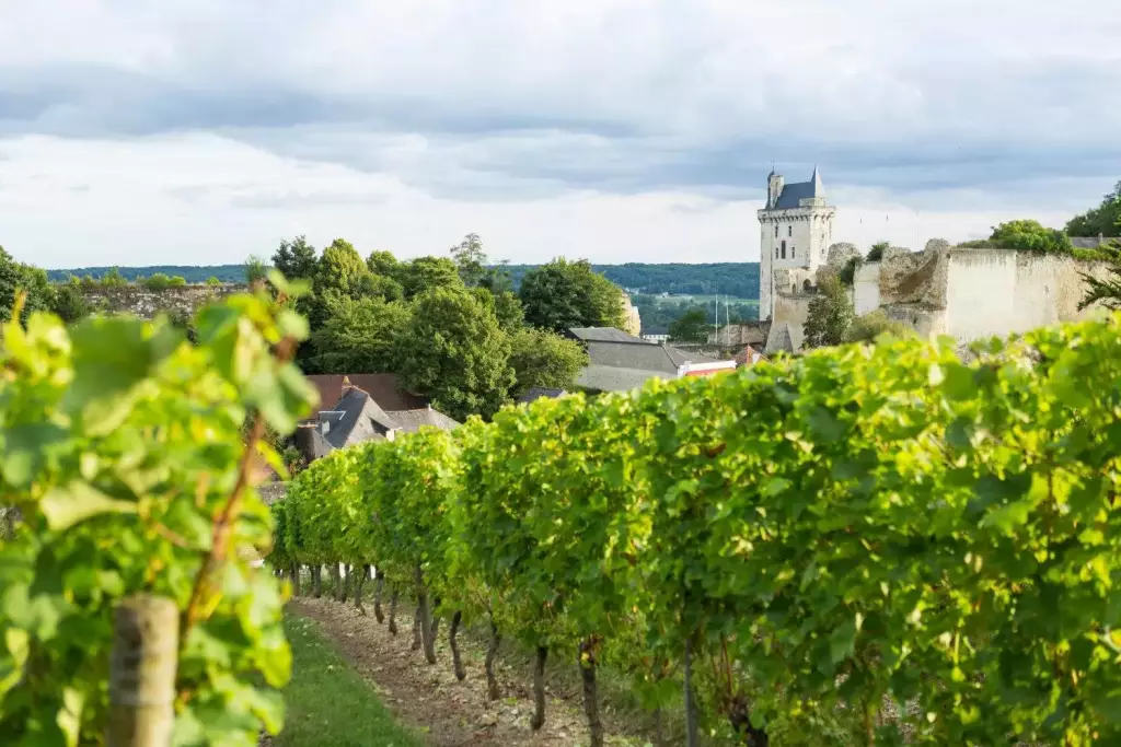 Patrimoine et vignobles de Val de Loire